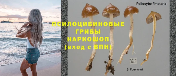эйфоретик Абинск