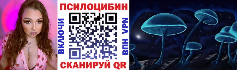 Псилоцибиновые грибы Psilocybe  сколько стоит  Почеп 