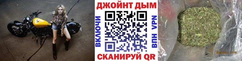 Конопля ГИДРОПОН Почеп